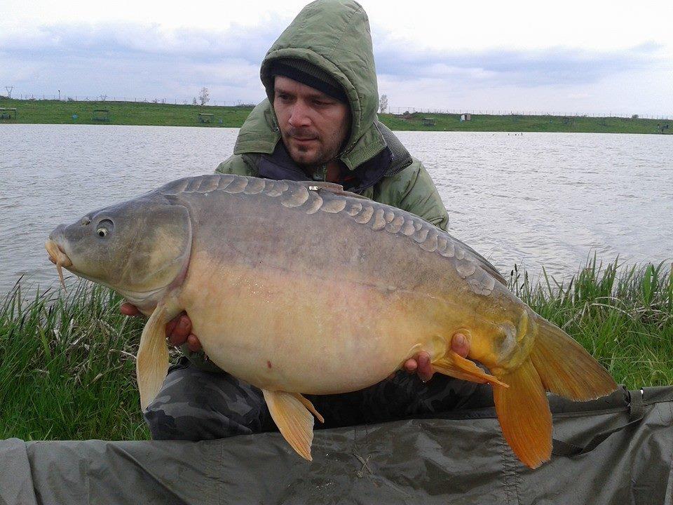 2014-2015 album 3 - 111471789479122419082628981236916752040342n.jpg